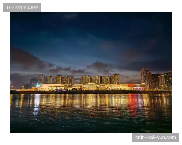 足球场馆夜间活动与城市公共安全协同运作指南，足球场夜景